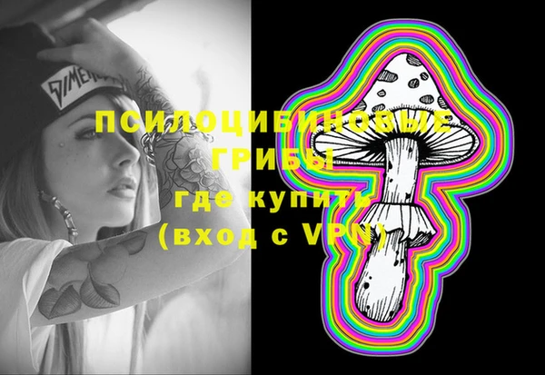 амф Балахна