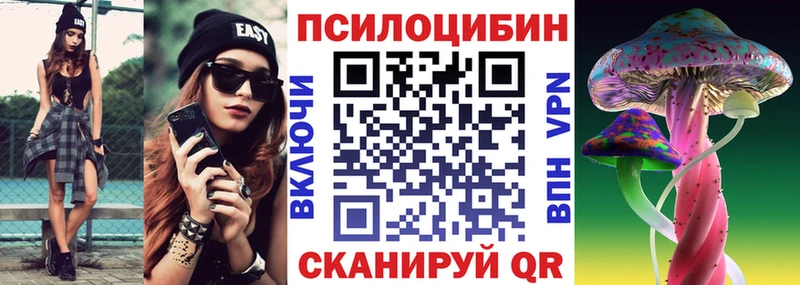 купить закладку Островной Псилоцибиновые грибы мицелий
